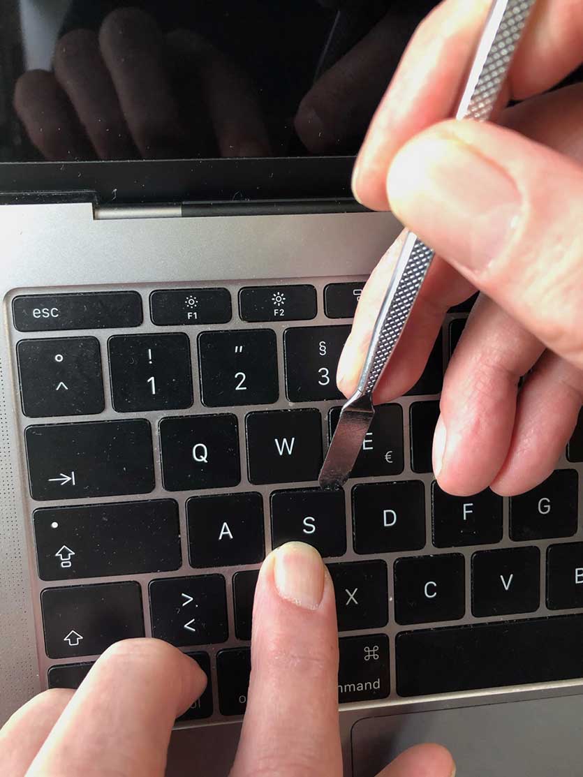 Butterfly Tastenkappen