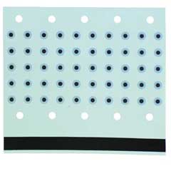 iPhone 5 Water Indicator Shield Display - 10 Stück