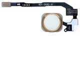 iPhone 5S / SE Home Button Assembly gold